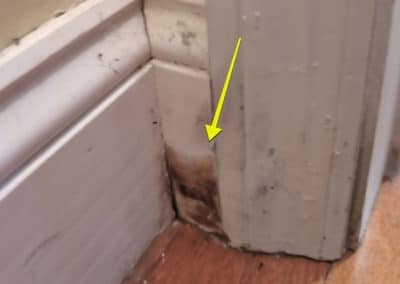 Mold Testing From Leaking AC Units (Pembroke Pines, Florida)