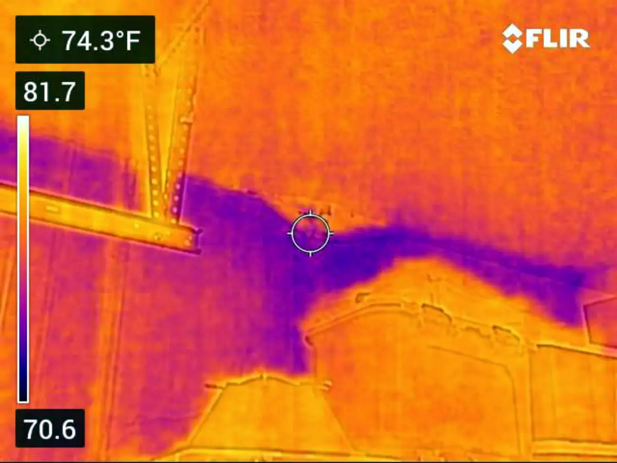 Is Your Home Hiding a Leak? 5 Tell-Tale Signs of Water Damage 1 IR Image